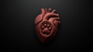 animal, âme en présence, âme, présence, amour, accompagnement