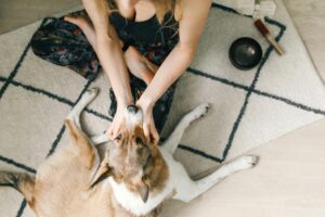 communication animale, fin de vie